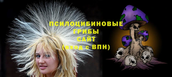 mdpv Горняк